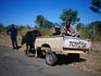 A scrap car is recycled into another more traditional form of transport. Little in Zambia goes to waste.