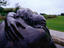Image_7010-44