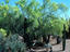 Image_7036-5