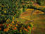 Autumn colours on the forest and vineyards of the Beaujolais area.