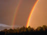 Rainbows over trees.