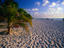 A rippled sandy Caribbean beach on Isla Mujeres, off the Yucatan Peninsula.