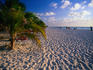 A rippled sandy Caribbean beach on Isla Mujeres, off the Yucatan Peninsula.