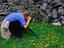 Image_7087-166
