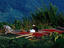 Image_7091-9