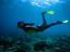 Shallow reefs, Philippines