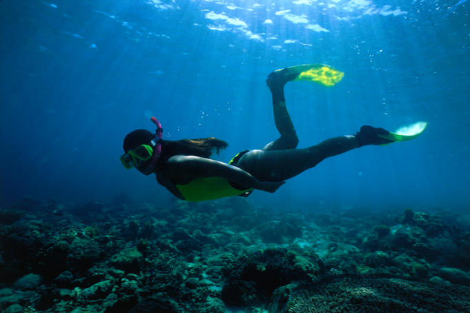 Exploring the shallow reefs.