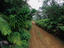 Image_7125-13