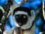 Image_7126-12
