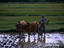 Image_7433-6