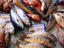 Image_766-14