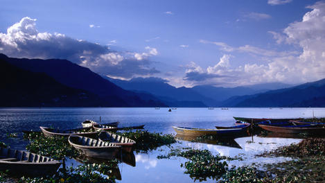 Boats, Phewa Tal, Pokhara