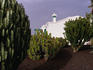 Traditional garden of Isla de Lanzarote