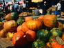 A pile of pumpkins at a food market - Kairouan, Kairouan
