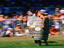 Hawkes Bay Wine Festival, Napier