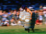 During the Hawkes Bay Wine Festival events such as the barrel race draw crowds - Napier, North Island