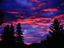 Image_7897-2