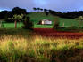 Squatters shack on farm.