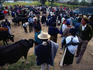 Locals gathering for the pre-dawn animal market - Otavalo, Imbabura