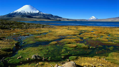 Image_793-16
