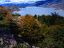 The Southern end of Lago Grey - Torres del Paine Parque Nacional, Magallanes y Antartica Chilena