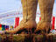 Texas State Fair, Dallas