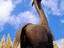 Giraffe sculpture at entrance to Dallas Zoo.