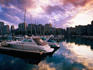 Moored boats at Belmont Harbor and city skyline, Lincoln Park.