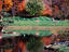 Chicago Botanic Gardens, Glencoe, Chicago