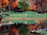 People relaxing by pond at Chicago Botanic Gardens, Glencoe.