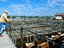 Image_7937-5