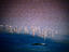 Image_794-9