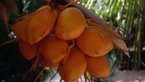 Image_806-47