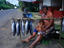 A local fisherman sells the days catch in Tahiti.