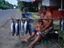 A local fisherman sells the days catch in Tahiti.