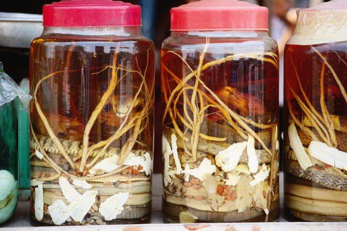 The+mekong+river+delta