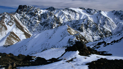 Image_84-803