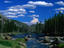 The Madison River, Yellowstone National Park