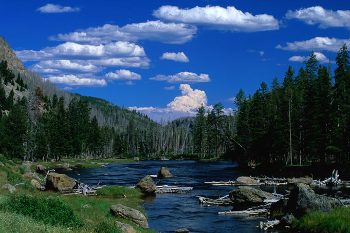 Top scenic drives around Yellowstone National Park - Lonely Planet