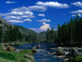 The Madison River in Yellowstone National Park. The river eventually goes onto join the Mississippi River and is a fly fishing dream with brown and rainbow trout and mountain whitefish.