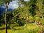 Image_860-23