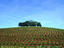 Image_874-53