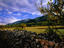 Image_880-19