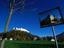 Image_8920-2