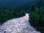 Image_894-1