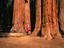 Image_8941-11