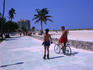 Miami residents doing what they're famous for: cycling and rollerblading along South Beach