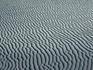 Rippled sand in Death Valley.