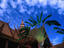 Image_8956-7