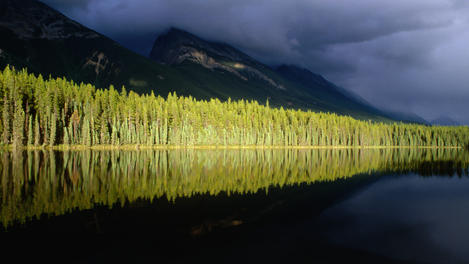 Banff & Jasper National Parks